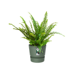 greenville easy hanger single leaf green